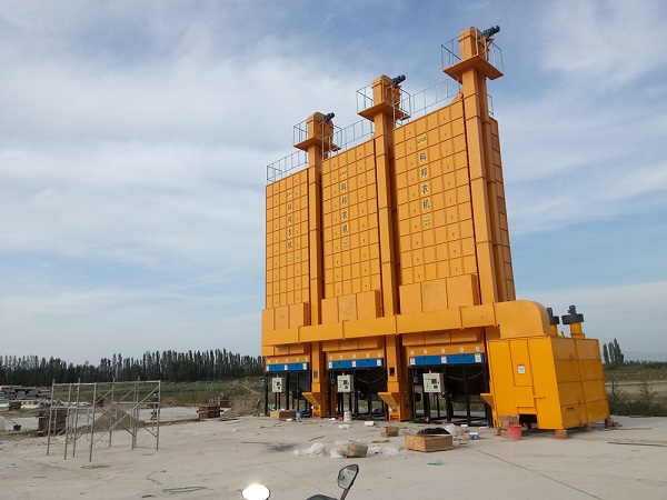 Rice Paddy Grain Dryer Company in Thailand