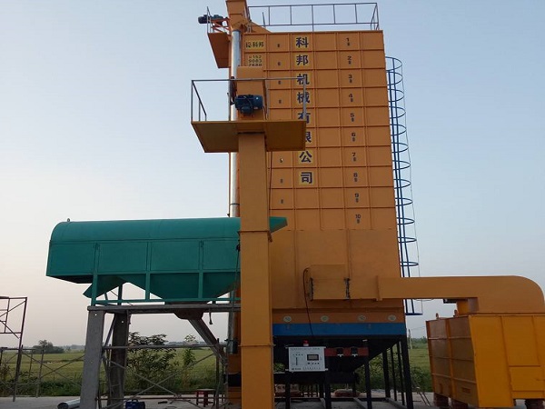 Rice Paddy Grain Dryer Supplier in Thailand