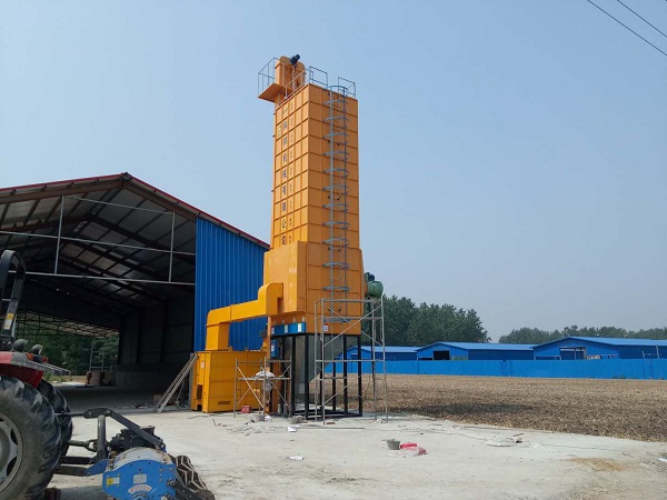 Rice Paddy Grain Dryer Supplier in Thailand