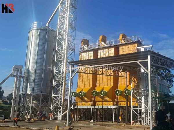 Corn dryer process in Thailand